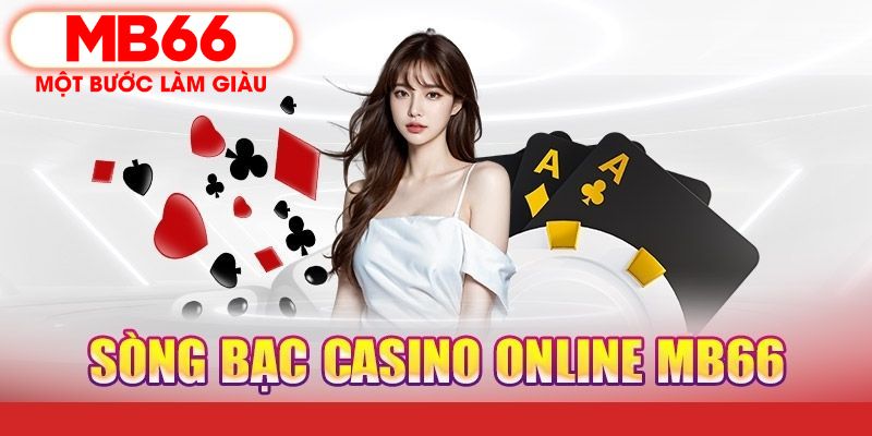 ok 365 PT Điện Tử
