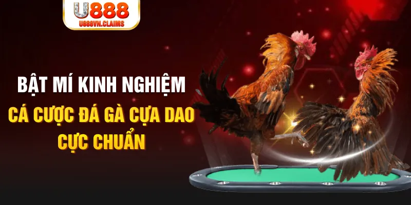 ok 365 casino hồ tràm có cho người việt vào không