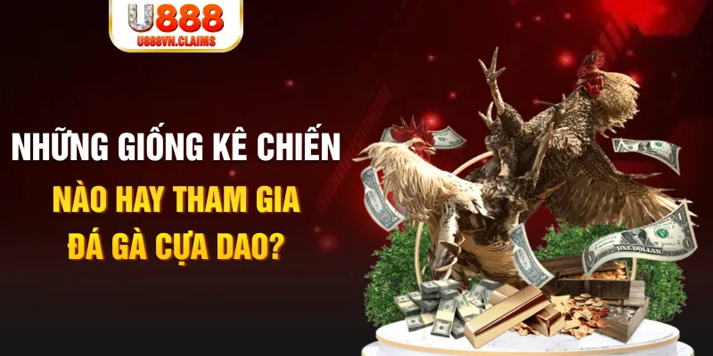 ok 365 BG Trực Tuyến