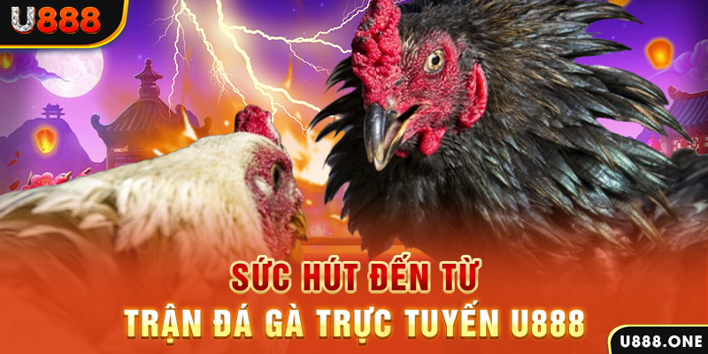 ok 365 đăng nhập poker 2024
