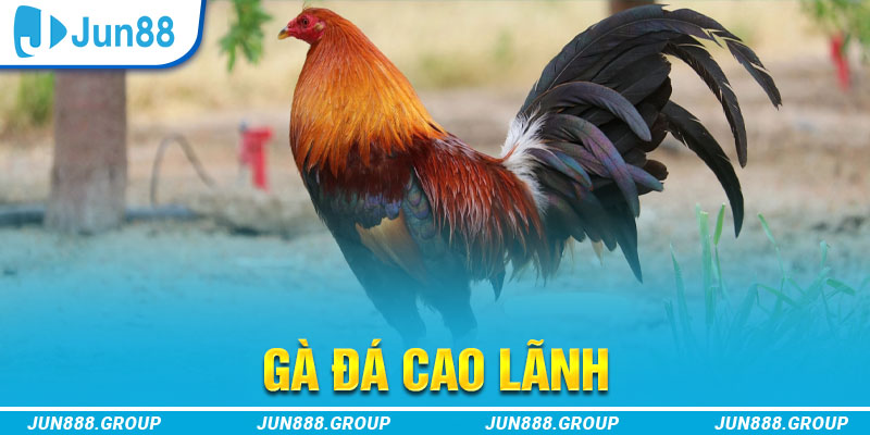 ok 365 tai game vua bai ve may tinh