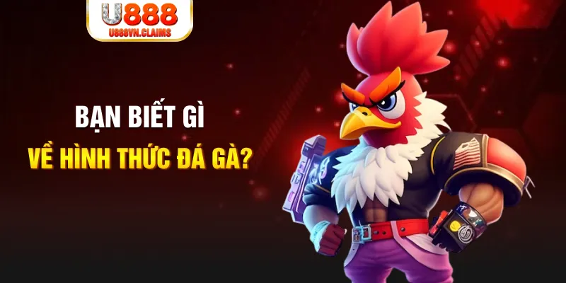 ok 365 đăng nhập liêng tặng tiền