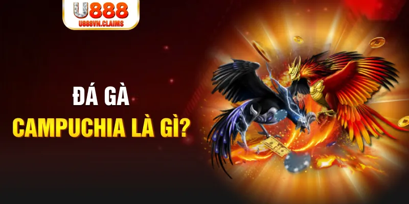 ok 365 what is the best online casino for real money