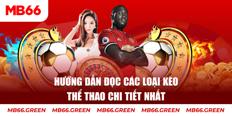 ok 365 TP Trực Tuyến