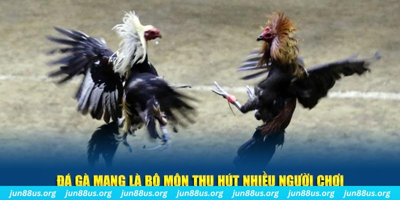 ok 365 đăng nhập sòng bạc số 1
