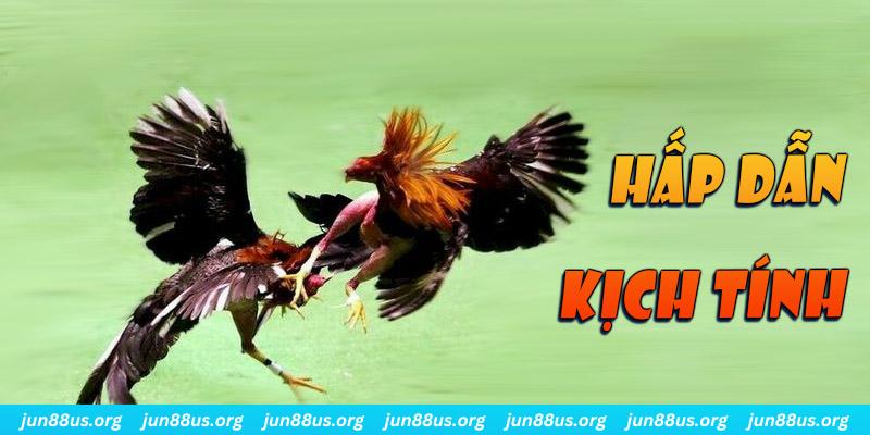 ok 365 xổ số miền nam thứ sáu