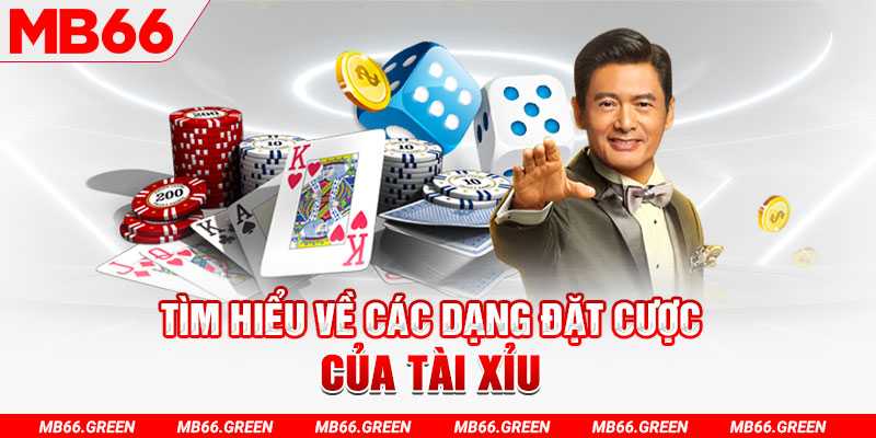 ok 365 what is a casino loyalty program