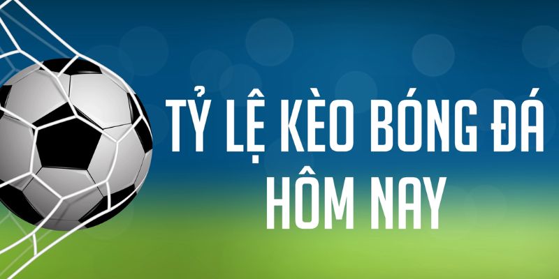 ok 365 đăng nhập phỏm