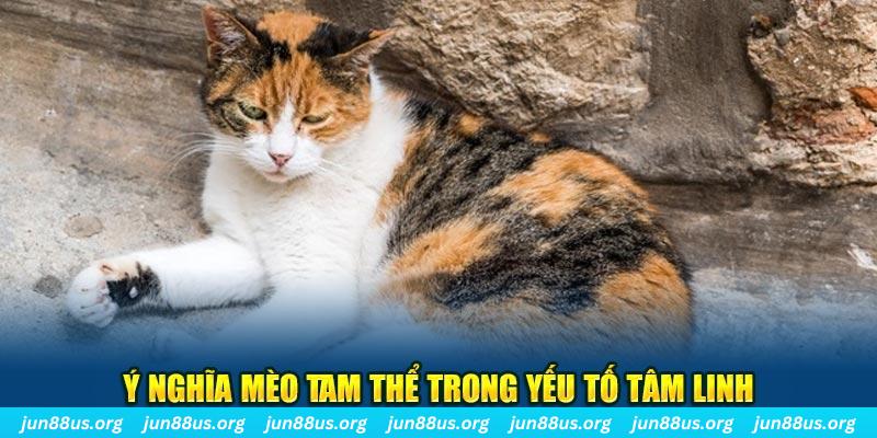ok 365 máy slot game là loại trò chơi gì？
