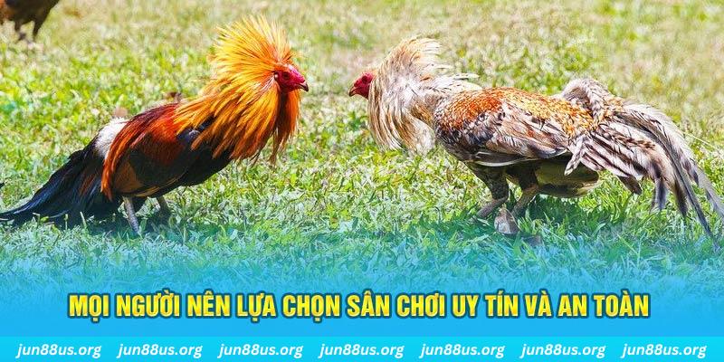 ok 365 đăng nhập poker 2025