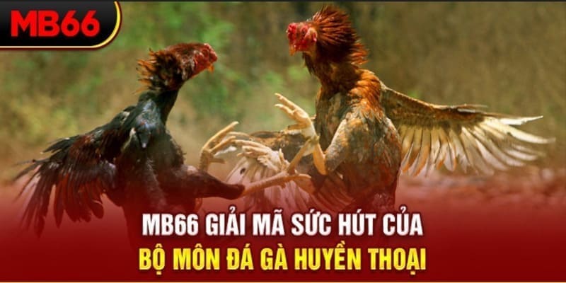 ok 365 xổ số đài bắc