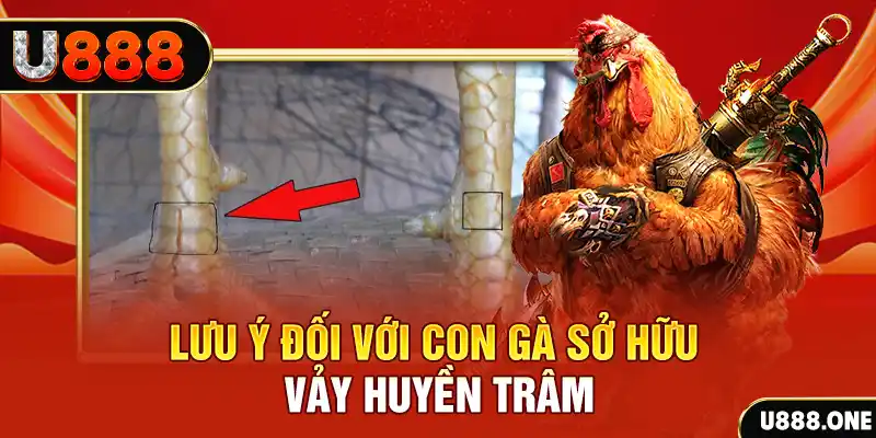 ok 365 tải game đánh bài tiến lên miền nam về máy tính