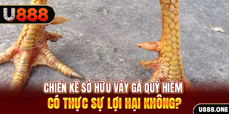 ok 365 xổ số miền trung