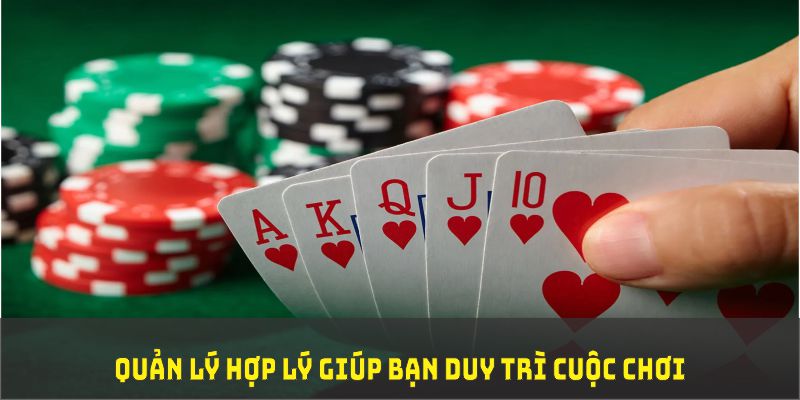 ok 365 đá gà trực tiếp thomo 67
