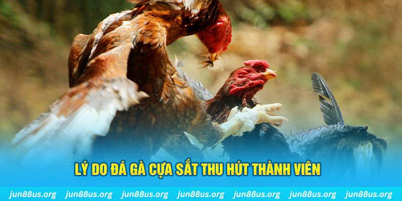 ok 365 nổ hũ ăn bao nhiêu