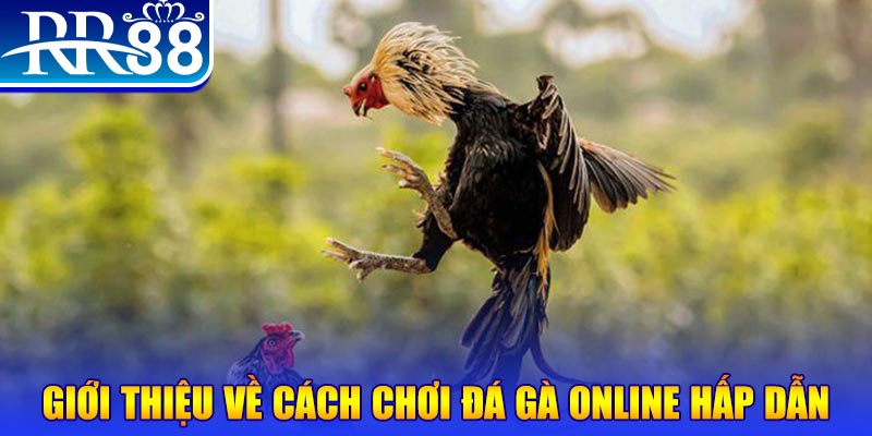 ok 365 EvoPlay Điện Tử