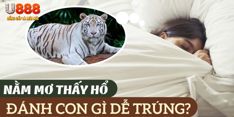 ok 365 nohu .mx nổ hủ là gì