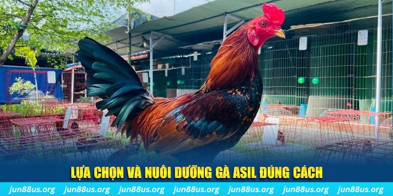 ok 365 nổ hũ thần tài là gì