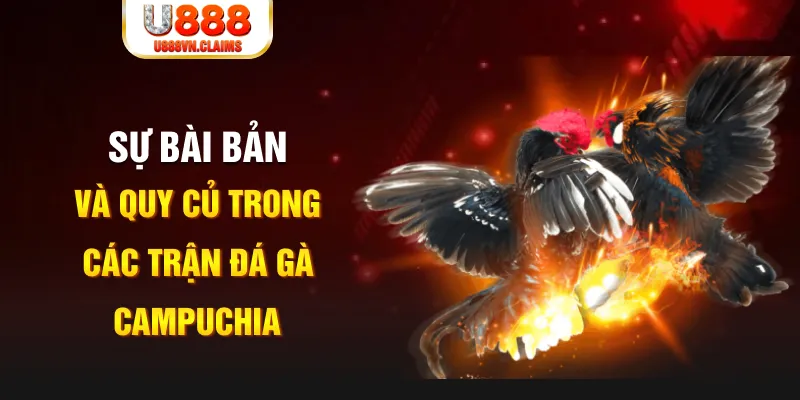 ok 365 game xếp bài trên máy tính
