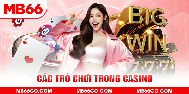 ok 365 chổi lông gà