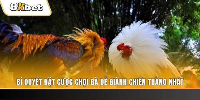ok 365 nổ hũ chơi như thế nào