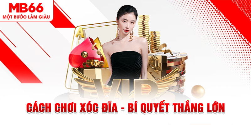 ok 365 Đĩa màu ace