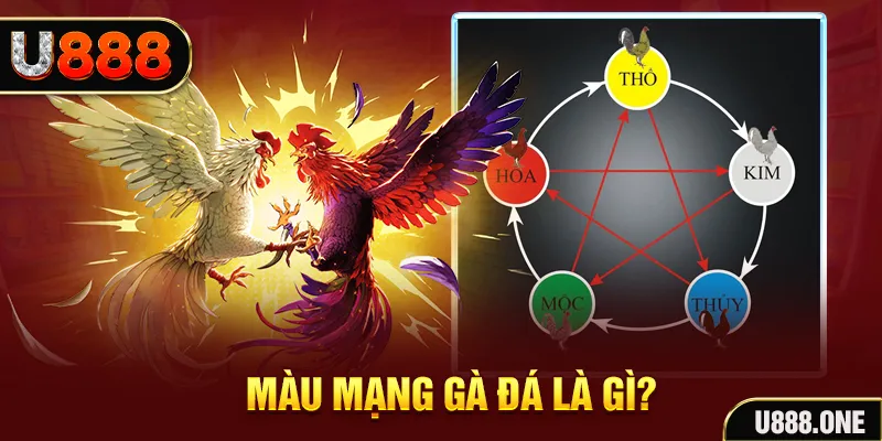 ok 365 V8 Game Bài 3d