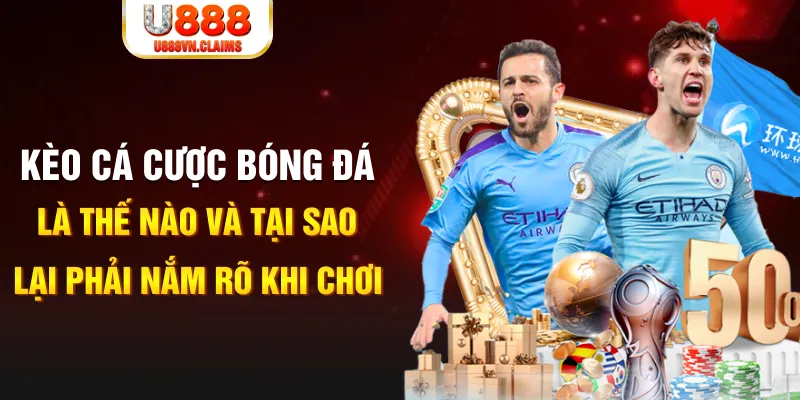 ok 365 gà chọi c1 mới nhất