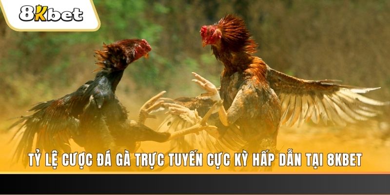 ok 365 xổ số miền bắc chủ nhật