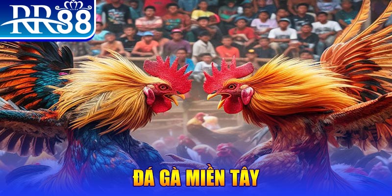 ok 365 đăng nhập liêng đổi thưởng