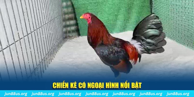 ok 365 qq88 bắn cá