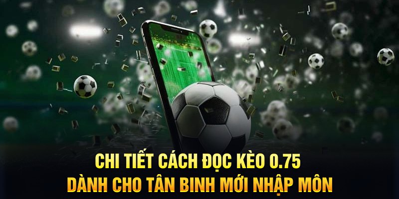 ok 365 Xì tố