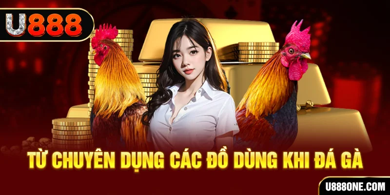ok 365 xổ số hồ chí minh
