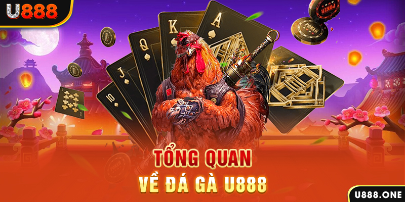 ok 365 xổ số vietlott
