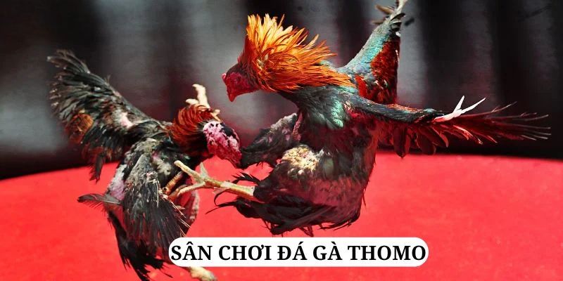 ok 365 quay nổ hũ là gì